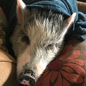 Meet your Posher, Michelle